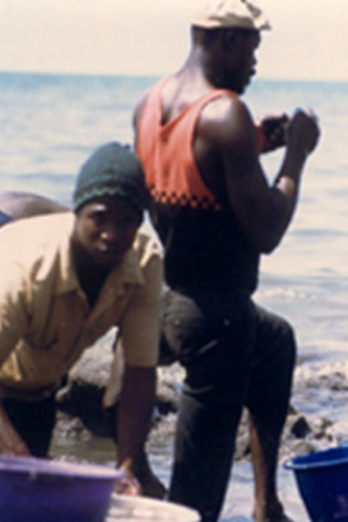 Les chutes de Ngalam