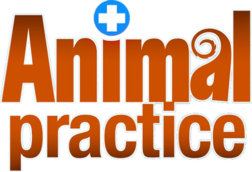 Animal Practice