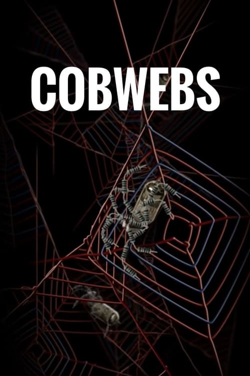 Cobwebs 2013