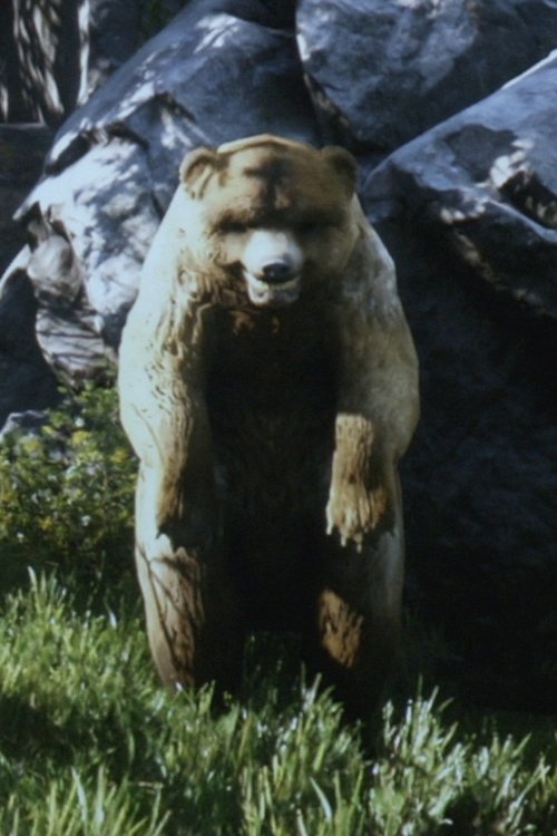 Steckbrief Natur - Folge 2 und 3