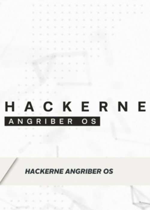 Hackerne angriber os still 1