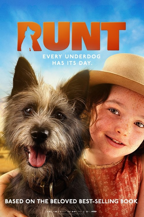Poster image du film Runt Runt