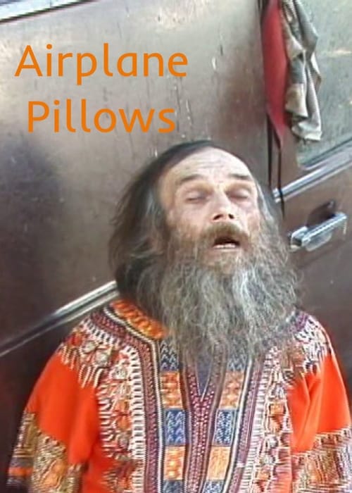 Airplane Pillows (2008)