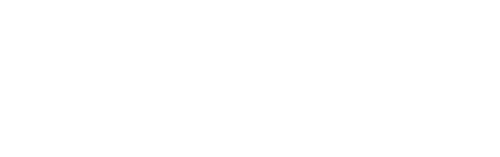 Bridal Fever
