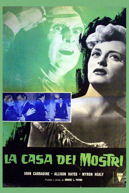 Scene 7