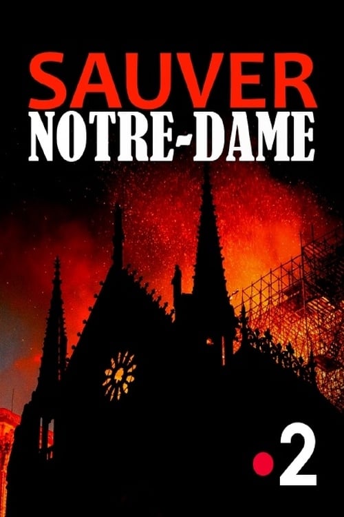 Sauver Notre-Dame - France TV 2020