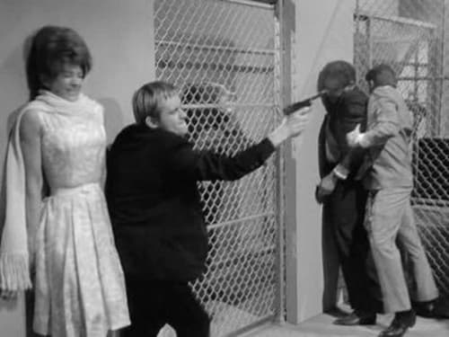 The Man from U.N.C.L.E., S01E19 - (1965)