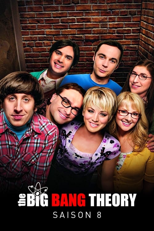 Regarder The Big Bang Theory - Saison 8 en streaming complet