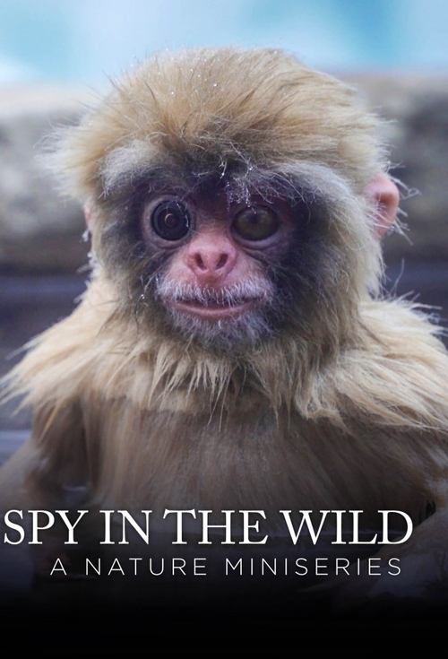 Spy in the Wild: A Nature Miniseries cover