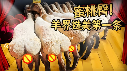 Episode 48