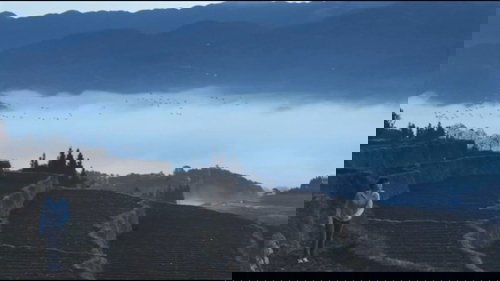 trailer-preview