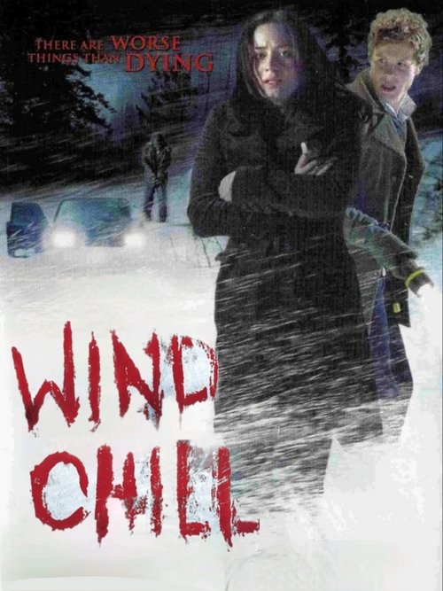 Wind Chill poster