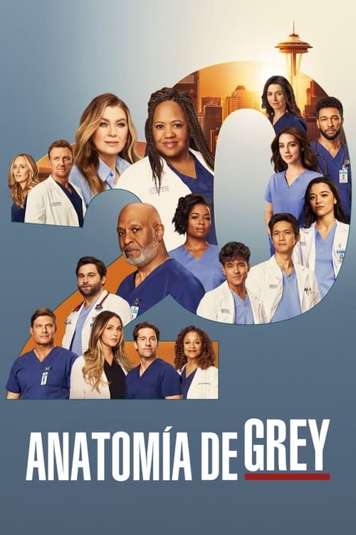 Póster de la temporada 20 de la serie Anatomía de Grey
