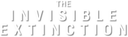 The Invisible Extinction