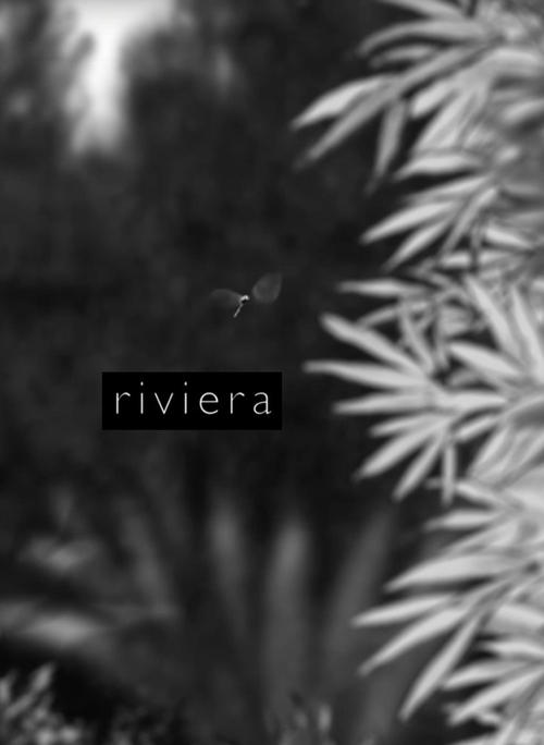 Riviera movie poster player