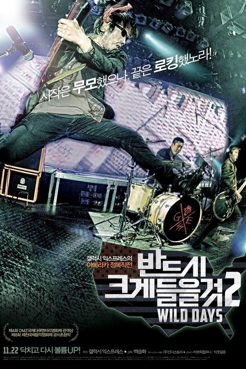 반드시 크게 들을 것 2: WILD DAYS movie poster player