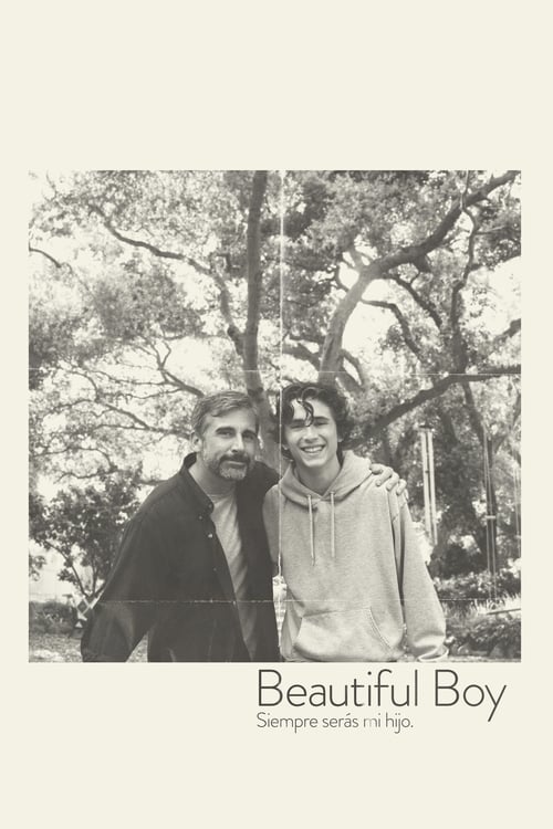 Beautiful Boy poster