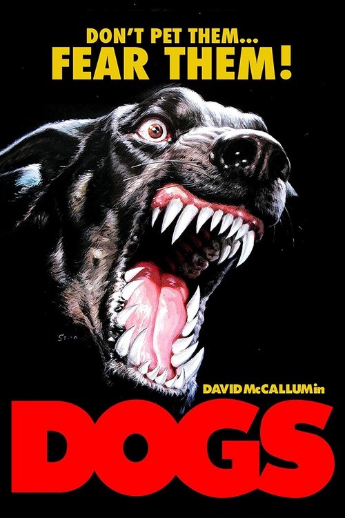 Dogs - Questo cane uccide! 1976