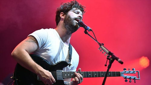 Foals