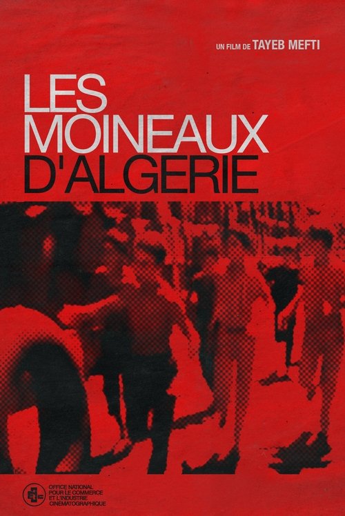 Poster Les Moineaux d'Algérie 1979