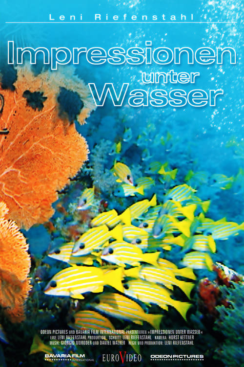 Impressionen unter Wasser (2002)