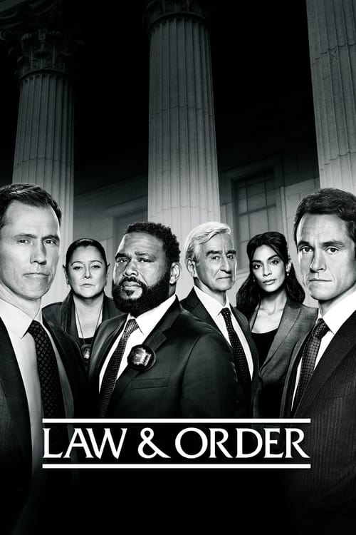 Law & Order - I due volti della giustizia