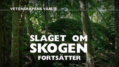 Vetenskapens värld: Slaget om skogen Backdrop Blur