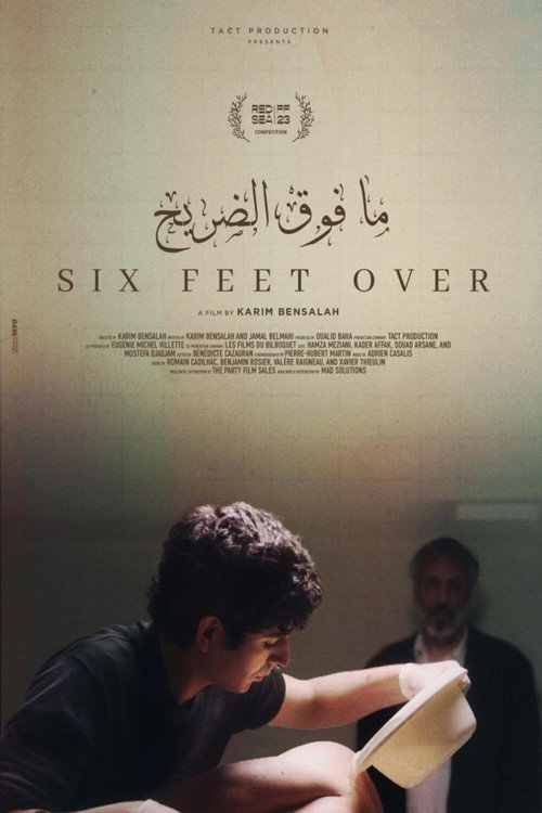 Six pieds sur Terre poster