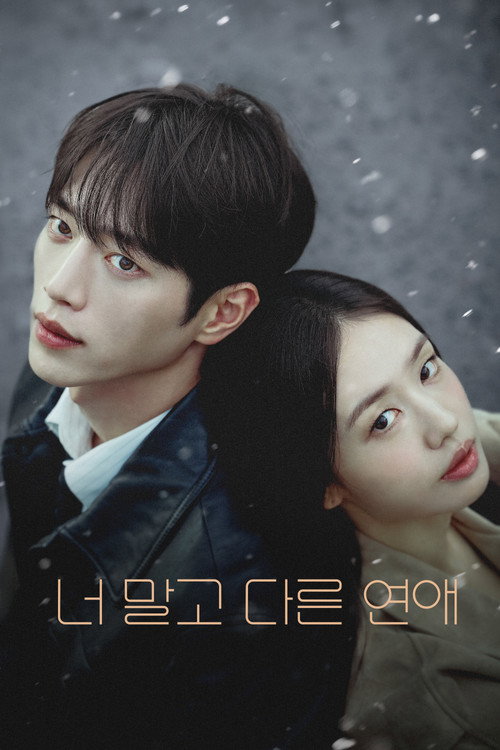 Poster (Koreanisch)