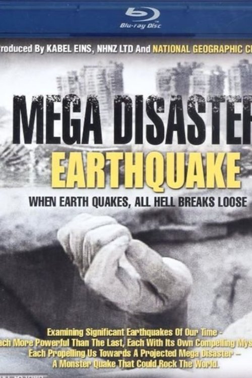 Meg Disaster Earthquake (2010) poster