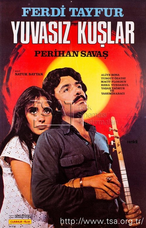 Ver pelicula Yuvasız Kuşlar Online