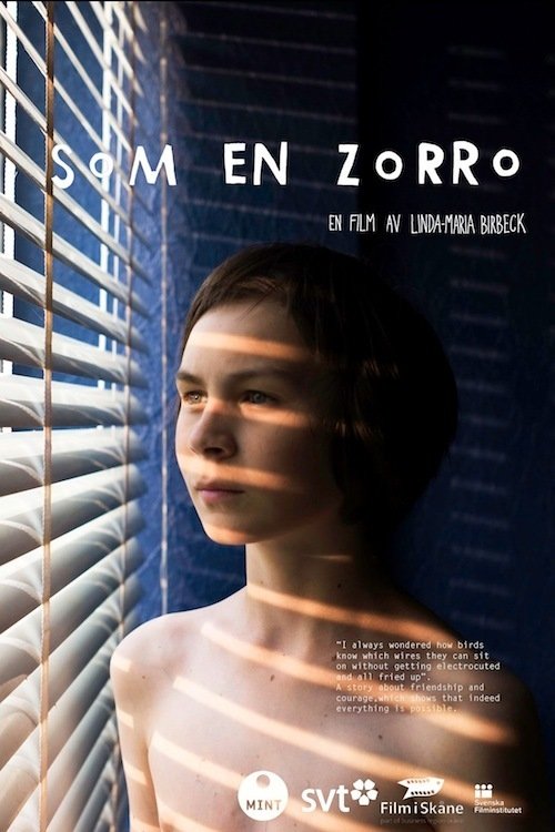 Som en Zorro movie poster player