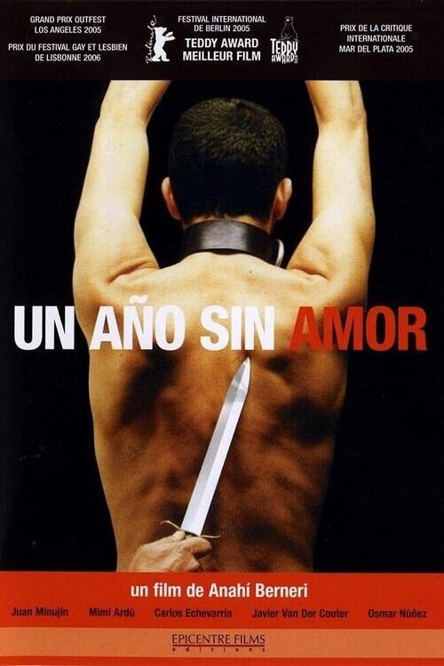 Un Año sin amor