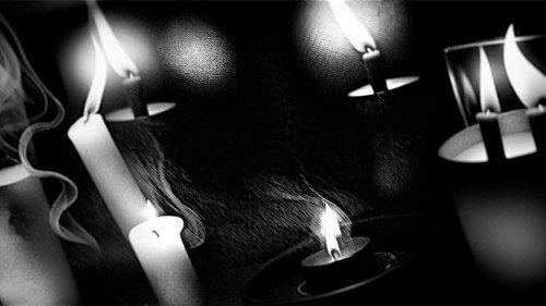 Narcisse Backdrop Blur