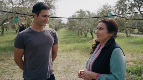 Épisode 166