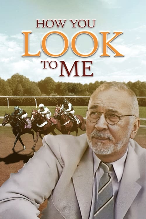 Poster How You Look to Me 2005