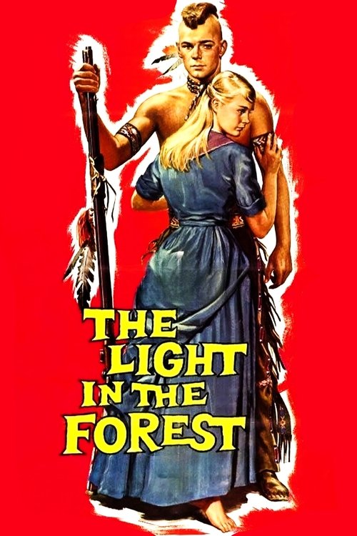 The Light in the Forest