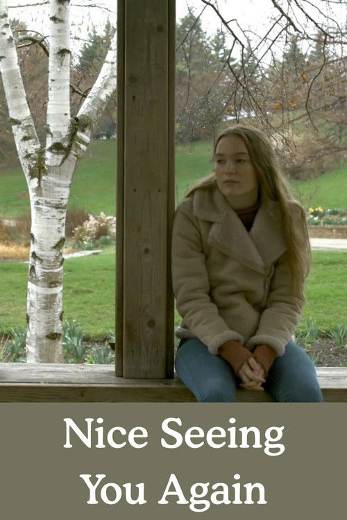 Nice Seeing You Again poster