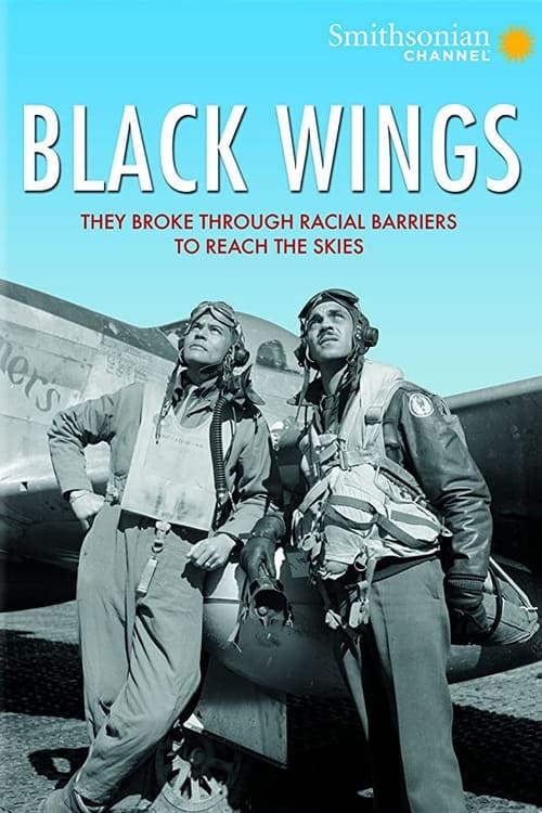 Poster Black Wings 2012