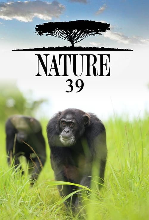 Nature, S39 - (2020)