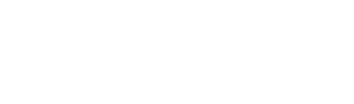 Un Quijote sin mancha