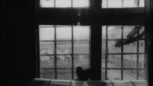 The Bright and Dark Side of Things