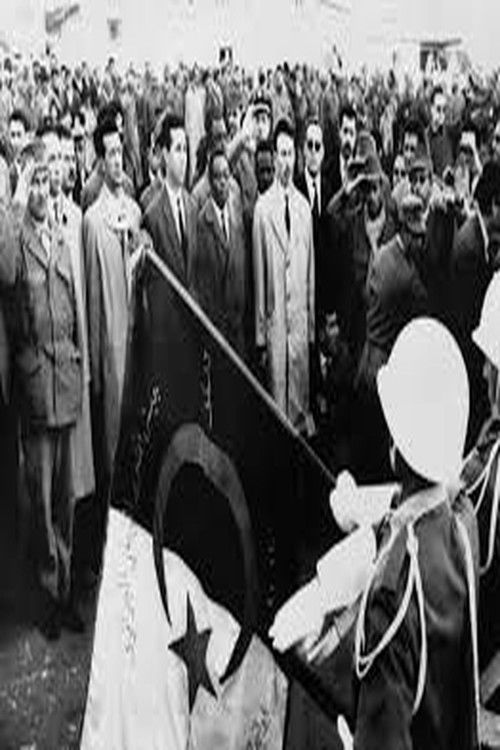 دور الحركة العالمية اثناء الثورة التحريرية