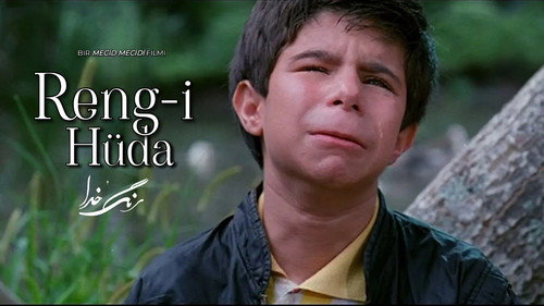 A Cor do Paraíso — Fundos 16