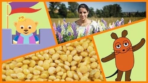 Image de l'épisode 27