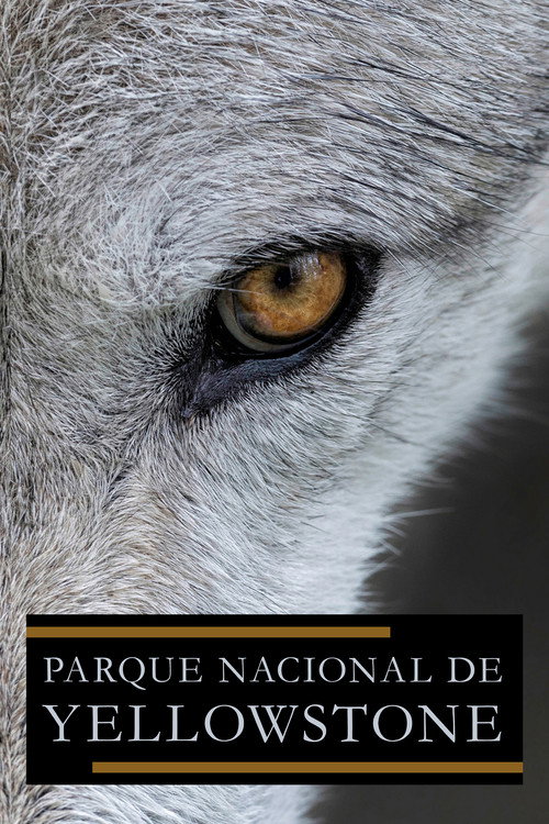 Parque Nacional de Yellowstone
