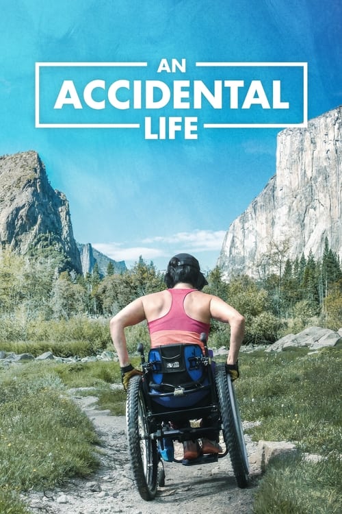 Poster An Accidental Life 2022