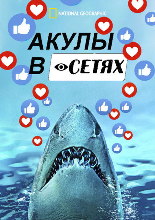 Sharks Gone Viral poster
