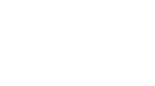 Air Force One Down
