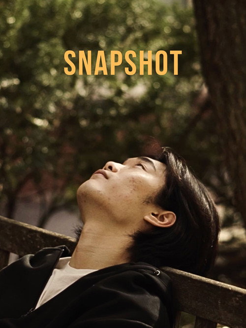 Snapshot poster